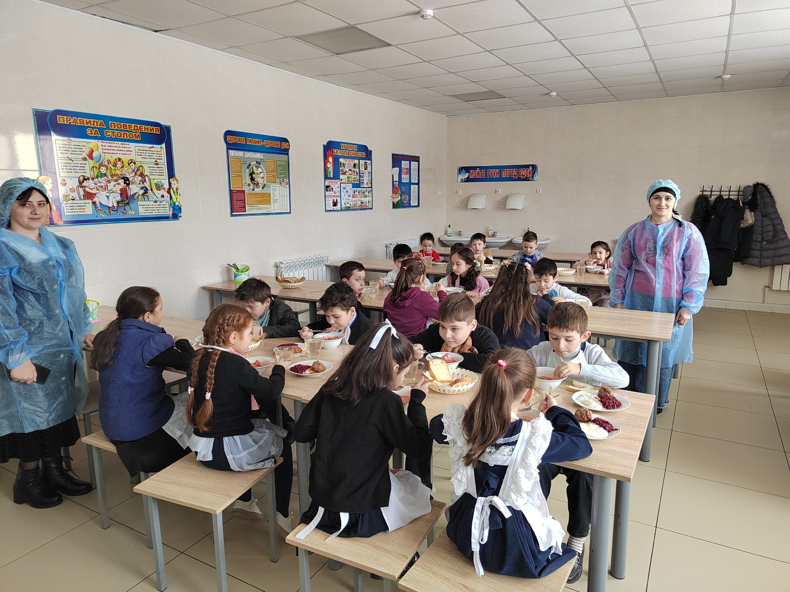 Родительский контроль питания в школе.